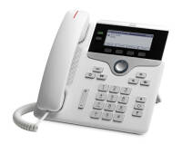 CP-7821-W-K9=